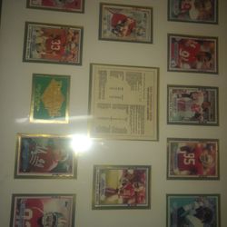 1989 Super Bowl Champion 49ers Collectible