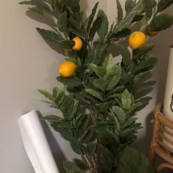 Faux Plant, 4-5 Feet Tall