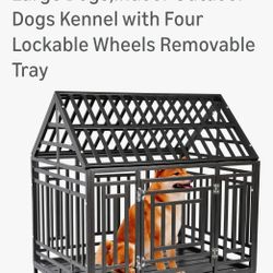 Kennel
