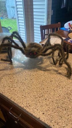 Large Hairy Halloween Spider Decoration