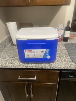 Coleman 16 Quart cooler with handle