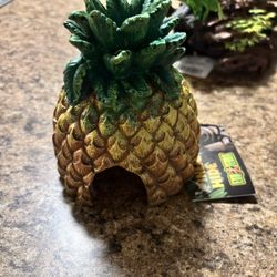 Decoration For Fish Tanks 