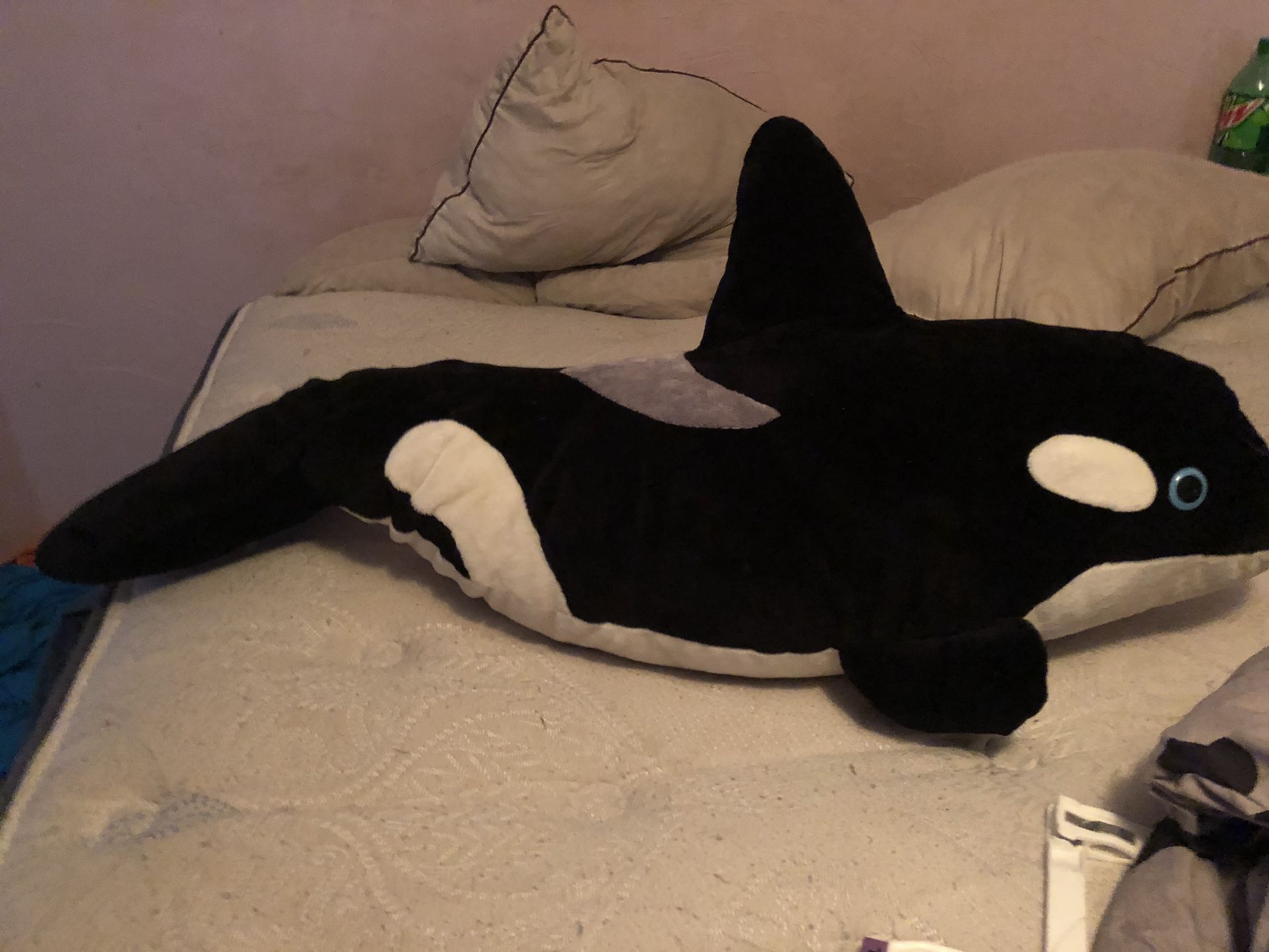 Killer whale stuffed animal
