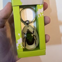Insect keychain