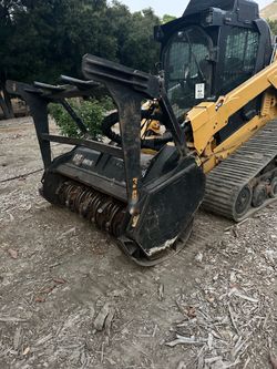 Avocado lemon tree mulcher breanches trimmed