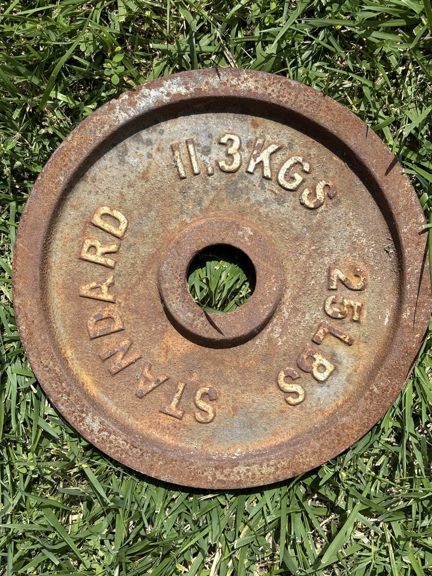 Olympic Weight 25 lb