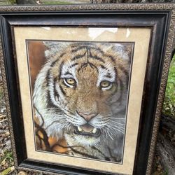 Home Interior Picture