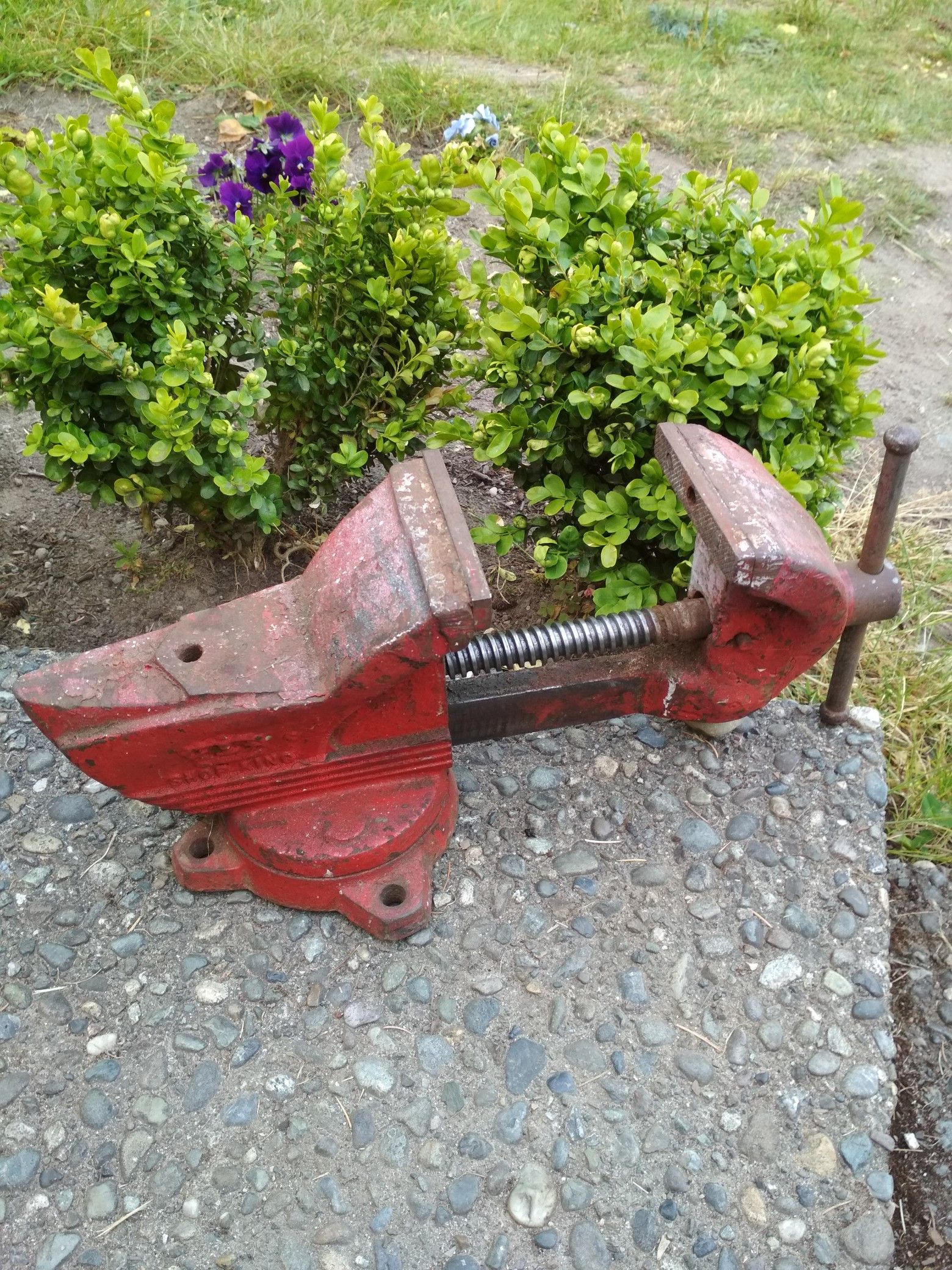 Wilton shop king vise