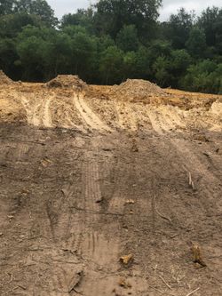 dirt