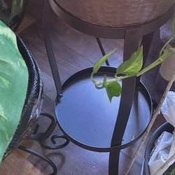 Plant Stands 