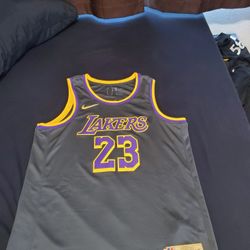 Nike LeBron James #23 Los Angeles Lakers 2021 NBA Earned Edition jersey in charcoal grey/black with purple and gold trim. 