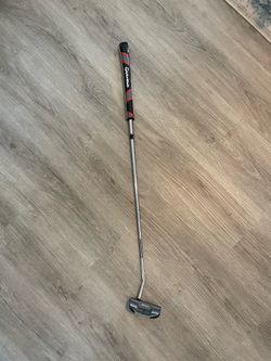 TaylorMade Spider GT Notchback Putter + Sunfish Eagle Cover