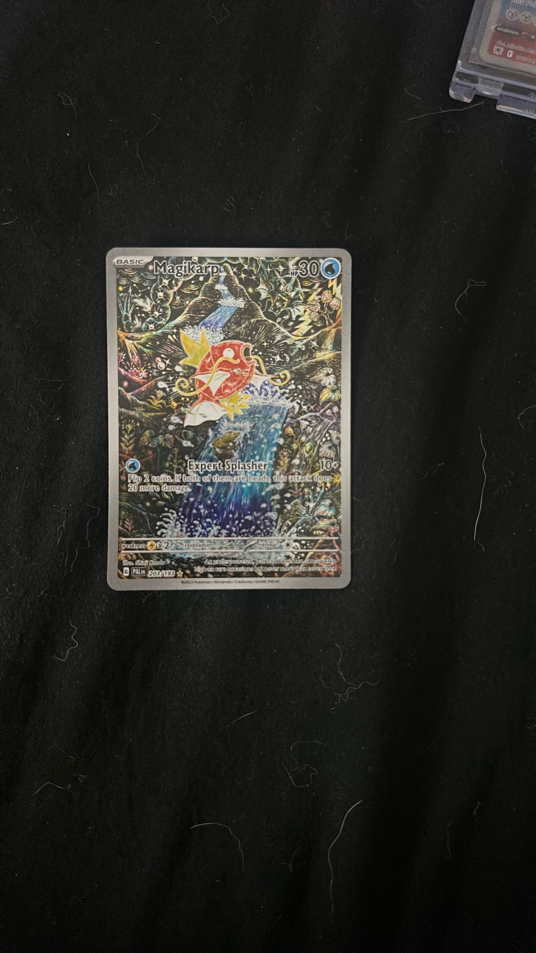 Pokémon Card