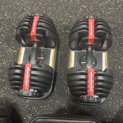 Bowflex Dumbbells 