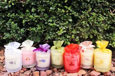 Scentsational Soy Candles 14 oz