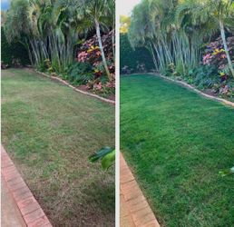 Turf colorant….colorante para sacate