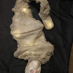 Halloween 🎃 Light Up Decorations 