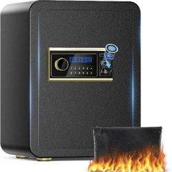 Biometric Safe Box 