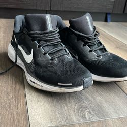 Nike Men’s Pegasus 41 Running Shoe Size 11