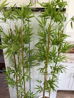 Pair of Faux bamboo plants - 6.3ft
