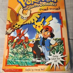 Pokemon Johto Journeys