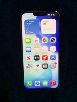 iPhone 13 Pro Max - 128 GB - unlocked.