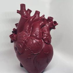 Anatomical Heart with veins red vase - halloween