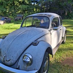 1972 Volkswagen Bug