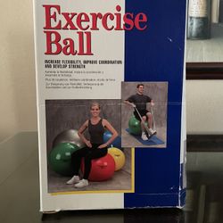 Exercise ball