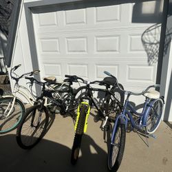 4 Bikes (2 Cruisers, 2 Mountain) 