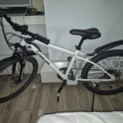 Extreme E Bike 7 Gear Fat Tires