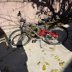 Schwinn S 40 DSX Mountain Bike