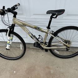 Mountain Bike