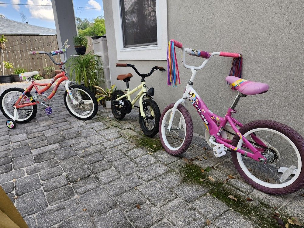 $80 For ALL Lot Of Three Childs Bike TWO Toddler Balance Bike Two Radio Flyer Tricycle 