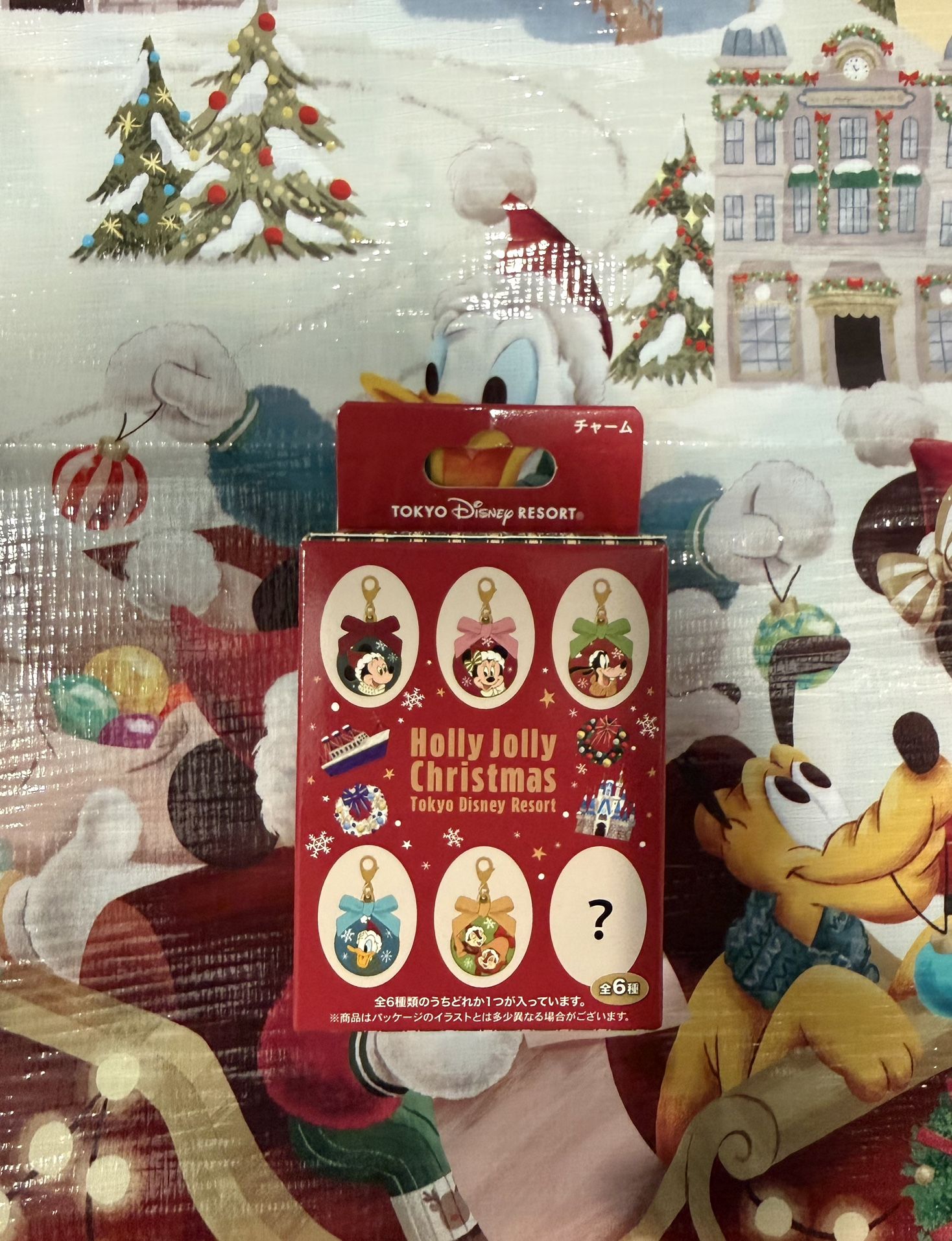 Tokyo Disney 2025 Mystery keychain