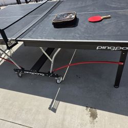 Ping Pong Table