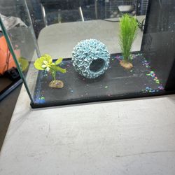 Beta 3 Gallon Fish Tank , Filters And Supplies 