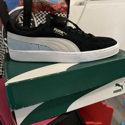 Puma’s 