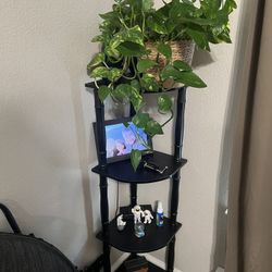 2 Corner Shelves