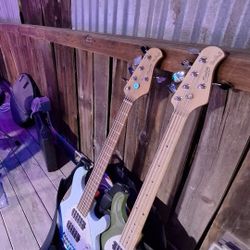 Green Sterling Stingray 5HH