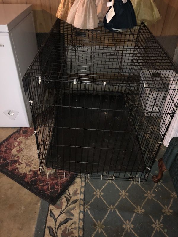 Large dog kennel