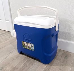 Medium-sized Igloo Cooler (28 liters/30 quartz, fits 41 cans)