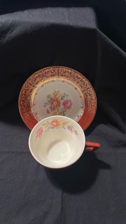 Limoges Triumph Meissen Rose Teacup and Saucer