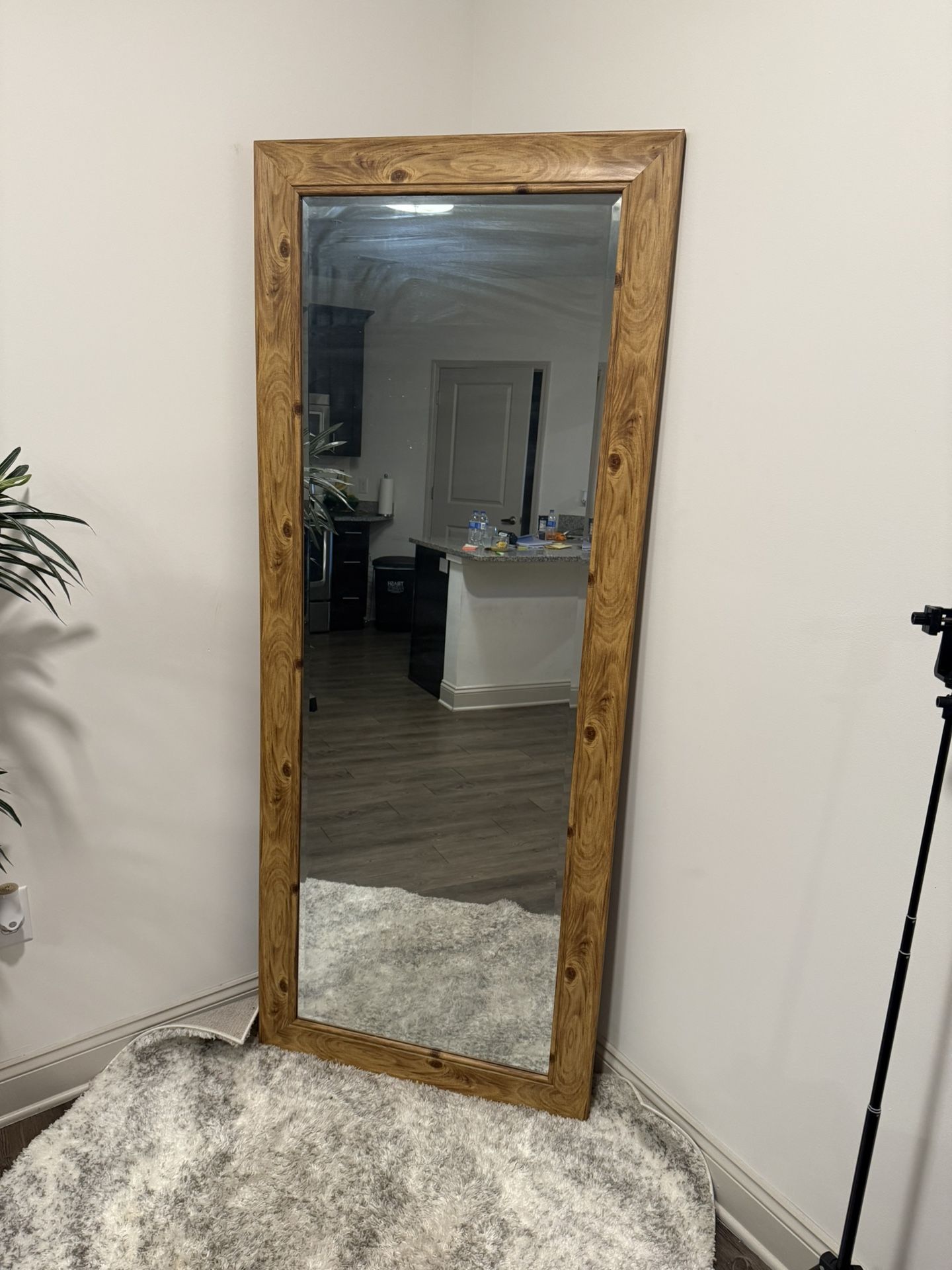 Mirror
