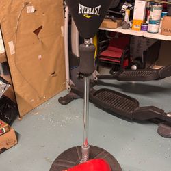 Everlast Boxing Punching Bag With One Glove