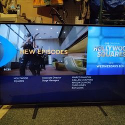 VIZIO 55" HD  TV