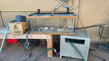 Reptile tank 25 gallon