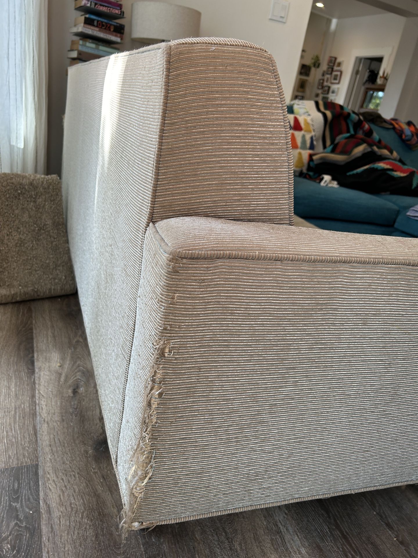 Design Within Reach sofa—FREE! for Sale in Los Angeles, CA OfferUp