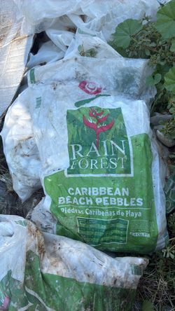 Rain Forest Caribbean Beach Pebbles 0.4 Cu. Ft.