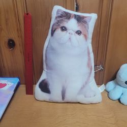 Persian Cat Pillow